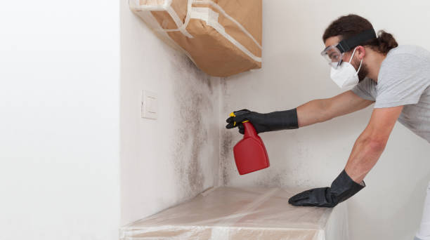 Professional Crawl Space Mold Remediation technician working in Forest Lake, IL