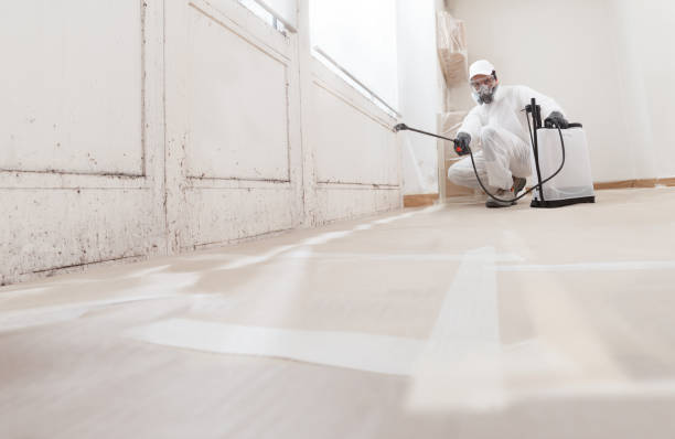 24/7 Emergency Crawl Space Mold Remediation experts in Forest Lake, IL